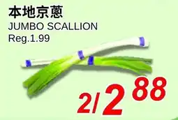 Foody World Jumbo scallion offer