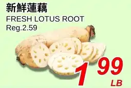 Foody World Fresh lotus root offer