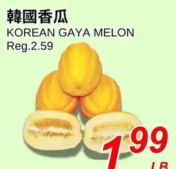 Foody World Korean gaya melon offer