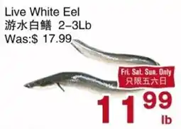 First Choice Supermarket Live White Eel offer