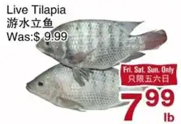 First Choice Supermarket Live Tilapia offer