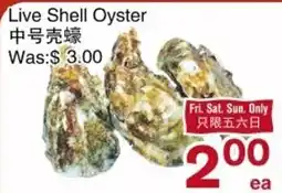 First Choice Supermarket Live Shell Oyster offer