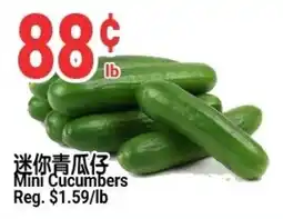 SunFood Supermarket Mini Cucumbers offer