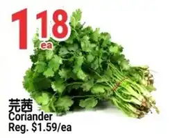 SunFood Supermarket Coriander offer