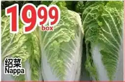 SunFood Supermarket Nappa offer