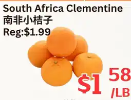 Farm Fresh Supermarket South Africa Clementine offer