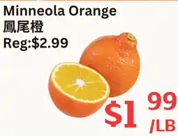 Farm Fresh Supermarket Minneola Orange offer