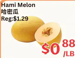 Farm Fresh Supermarket Hami Melon offer