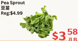 Farm Fresh Supermarket Pea Sprout offer