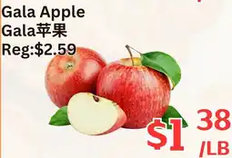 Farm Fresh Supermarket Gala Apple offer