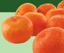 Giant Tiger Clementines, 2lb offer