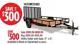 Canadian Tire TRUE-NORTH Utility Trailer with Gate, 77 x 12 offer