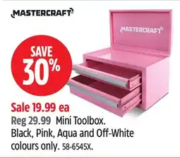 Canadian Tire Mastercraft Mini Toolbox offer
