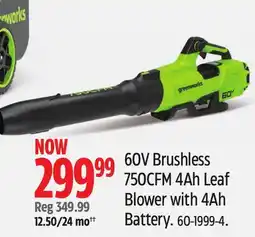 Canadian Tire Greenworks 60V Brushless 750CFM 4Ah Leaf Blower with 4Ah Battery offer