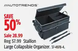 Canadian Tire AUTOTRENDS Stallion Large Collapsible Organizer offer