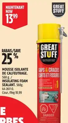 Canadian Tire INSULATING FOAM SEALANT offer