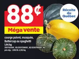 Maxi COURGE POIVRÉ, MUSQUÉE, BUTTERCUP OU SPAGHETTI offer