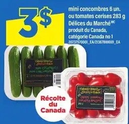 Maxi MINI CONCOMBRES 6 UN. OU TOMATES CERISES, 283 G DÉLICES DU MARCH offer