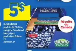Maxi RAISINS BLEUS | BLUE GRAPES offer