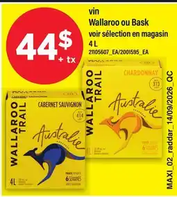 Maxi VIN WALLAROO OU BASK offer
