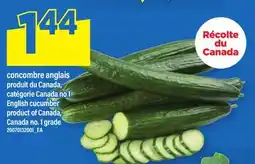 Maxi CONCOMBRE ANGLAIS | ENGLISH CUCUMBER offer