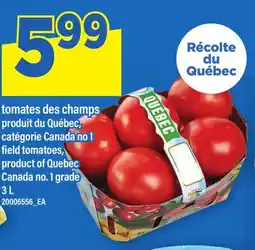 Maxi TOMATES DES CHAMPS | FIELD TOMATOES offer