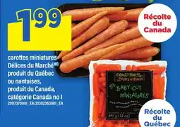 Maxi carottes miniatures Délices du Marché ou nantaises offer