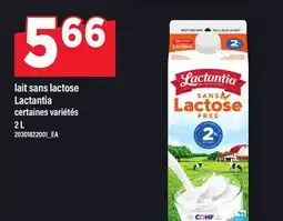 Maxi LAIT SANS LACTOSE LACTANTIA offer