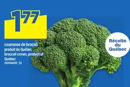 Maxi COURONNE DE BROCOLI | BROCCOLI CROWN offer