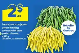Maxi HARICOTS VERTS OU JAUNES | GREEN OR YELLOW BEANS offer