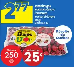 Maxi CANNEBERGES | CRANBERRIES offer