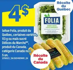 Maxi LAITUE FOLIA, 113 G OU MAÏS SUCRÉ DÉLICES DU MARCHÉ, 5 UN offer