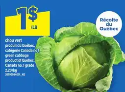 Maxi CHOU VERT | GREEN CABBAGE offer