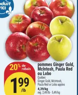 Marché Adonis POMMES GINGER GOLD, MCINTOSH, PAULA RED OU LOBO | GINGER GOLD, MCINTOSH, PAULA RED OR LOBO APPLES offer