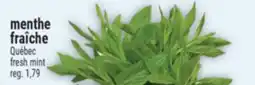 Marché Adonis menthe fraîche | fresh mint offer
