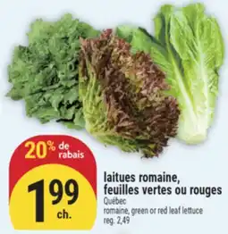 Marché Adonis LAITUES ROMAINE, FEUILLES VERTES OU ROUGES | ROMAINE, GREEN OR RED LEAF LETTUCE offer