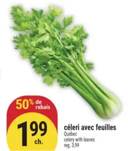 Marché Adonis céleri avec feuilles offer