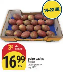 Marché Adonis POIRE CACTUS | CACTUS PEAR CASE offer