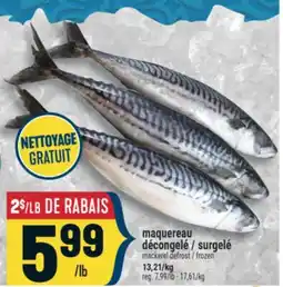 Marché Adonis maquereau décongelé / surgelé | mackerel defrost / frozen offer