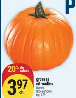 Marché Adonis large pumpkins offer