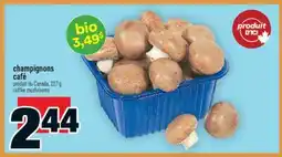 Super C champignons café | coffee mushrooms offer