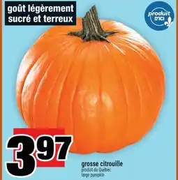 Super C grosse citrouille | large pumpkin offer