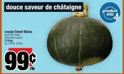Super C courge Sweet Mama | Sweet Mama squash offer