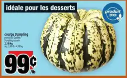 Super C courge Dumpling | Dumpling squash offer