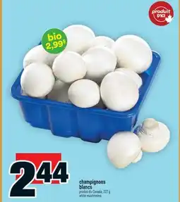 Super C champignons blancs | white mushrooms offer