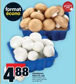 Super C champignons blancs ou café | white or coffee mushrooms offer