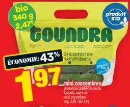 Super C mini concombres | mini cucumbers offer