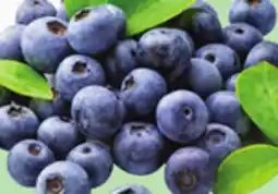 Giant Tiger Blueberries, 170-g offer