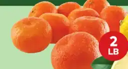 Giant Tiger 2 lb clementines offer