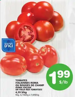 Marches Tradition ROMA ITALIAN OR FIELD RED TOMATOES offer